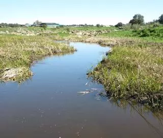 El agua en Los Pedroches y el Guadiato