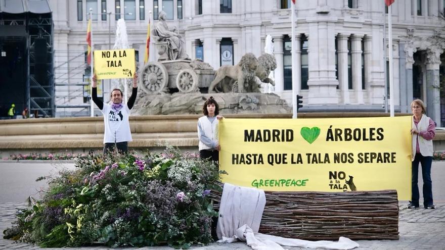 VÍDEO: Greenpeace elabora un ram de núvia per a Almeida amb branques d&#039;arbres talats a Madrid en una nova acció de protesta