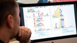 Un impulso genético desconocido posibilitó la cognición humana