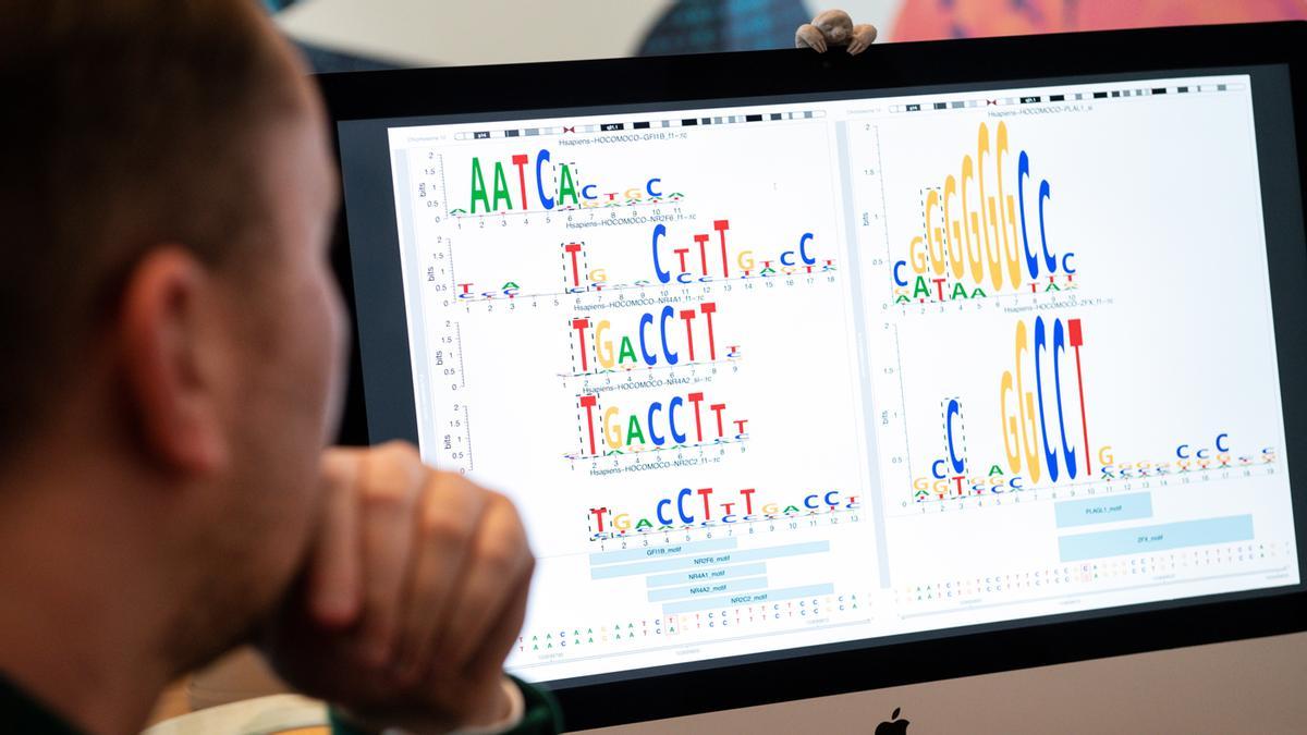 El análisis genético revela claves importantes del desarrollo del cerebro humano.