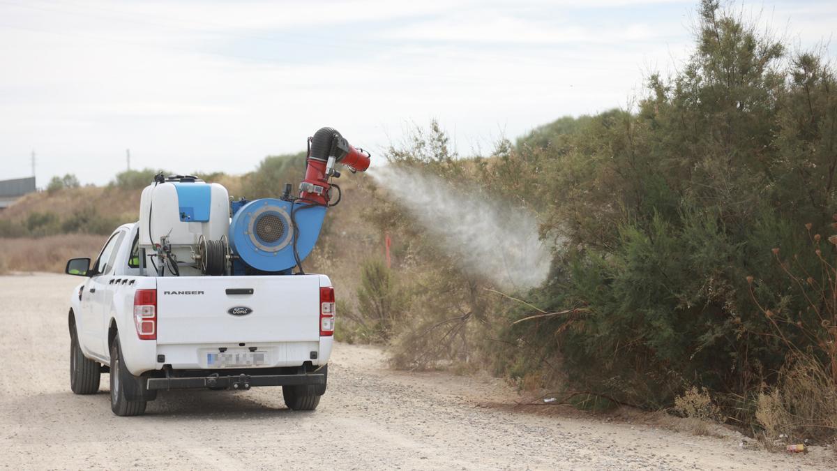 13/08/2024 Un pick up nebulizador interviene en la campaña para el tratamiento contra los mosquitos que propagan el virus del Nilo Occidental, en Coria del Río, Sevilla