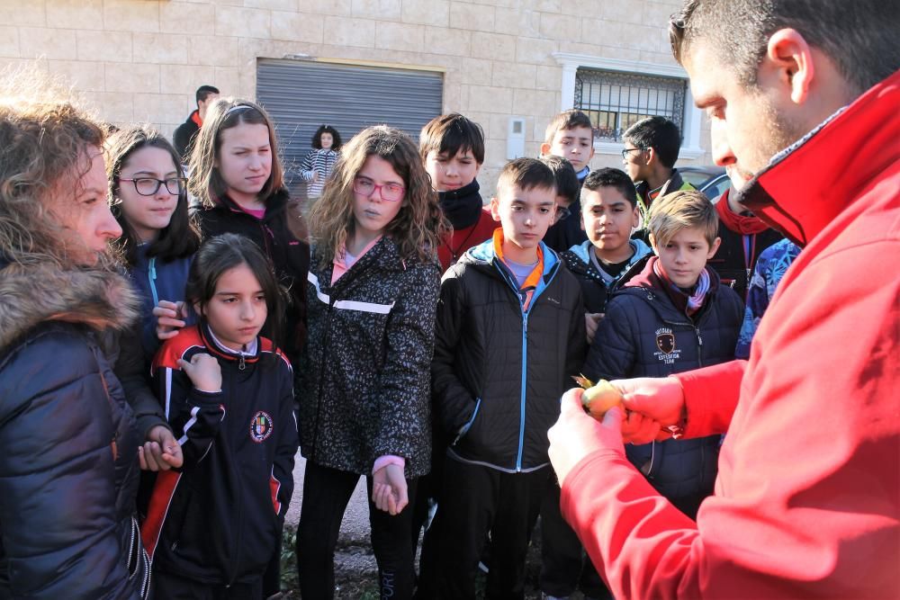 Escolares visitan la huerta y una subasta agrícola