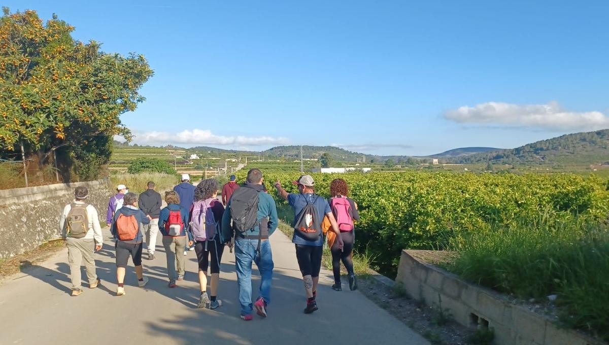Participantes en la marcha reivindicativa contra la macroplanta fotovoltaica de Llanera.