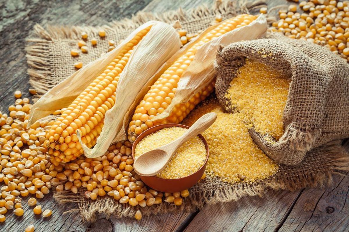 El gofio es un alimento típico canario rico en fibra dietética