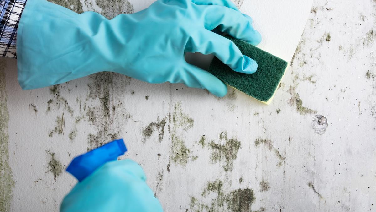 Una persona limpia la pared con guantes, esponja y botella de spray