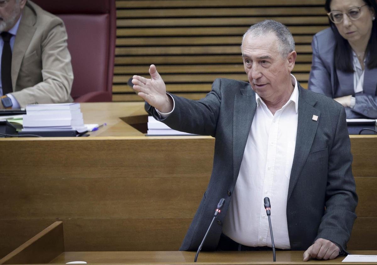 Joan Baldoví, síndic de Compromís, interviene en el pleno de las Corts, este jueves.