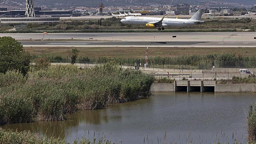 L’aeroport del Prat limita amb l’espai de la Ricarda. | FERRAN NADEU