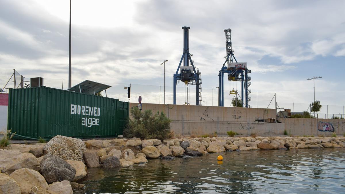 La planta de tratamiento de Mediterranean Algae en el Puerto de Alicante.