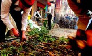 Superdomingo en Valls: se celebra la Gran Festa de la Calçotada