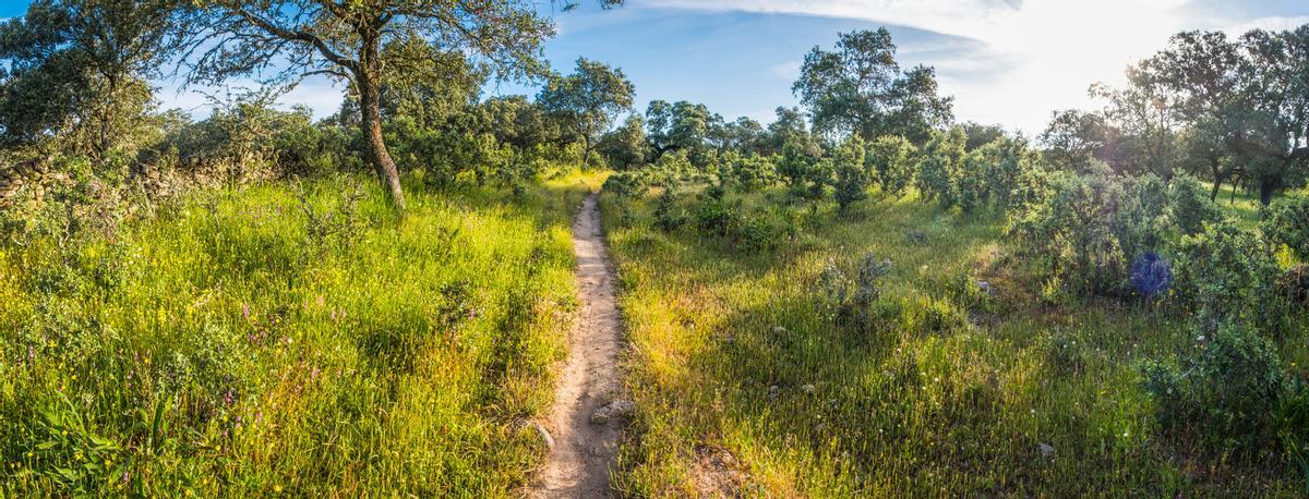 Una Vía Verde que te enamorará en Andalucía