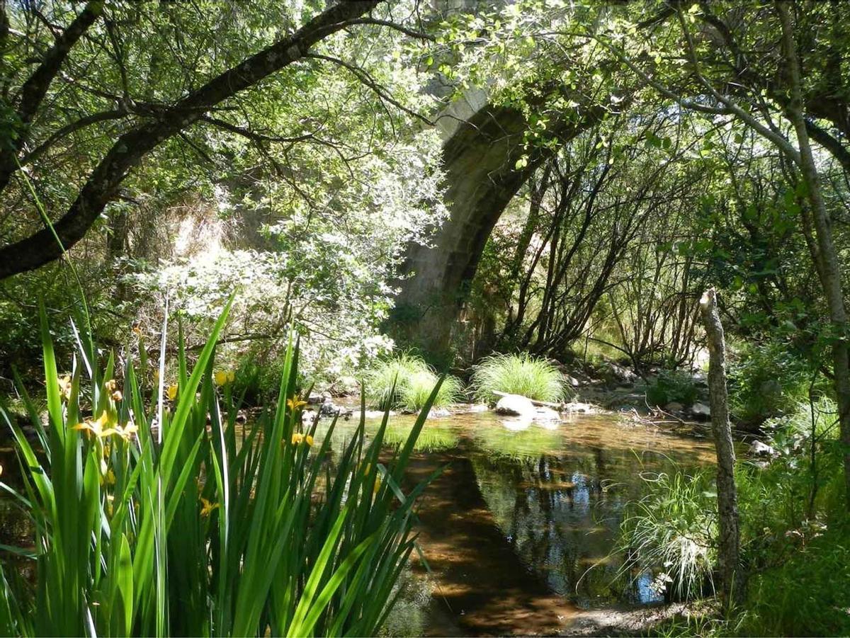 Las Pozas de Horcajo de la Sierra