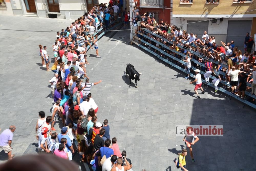 I Encierro de Blanca 2016