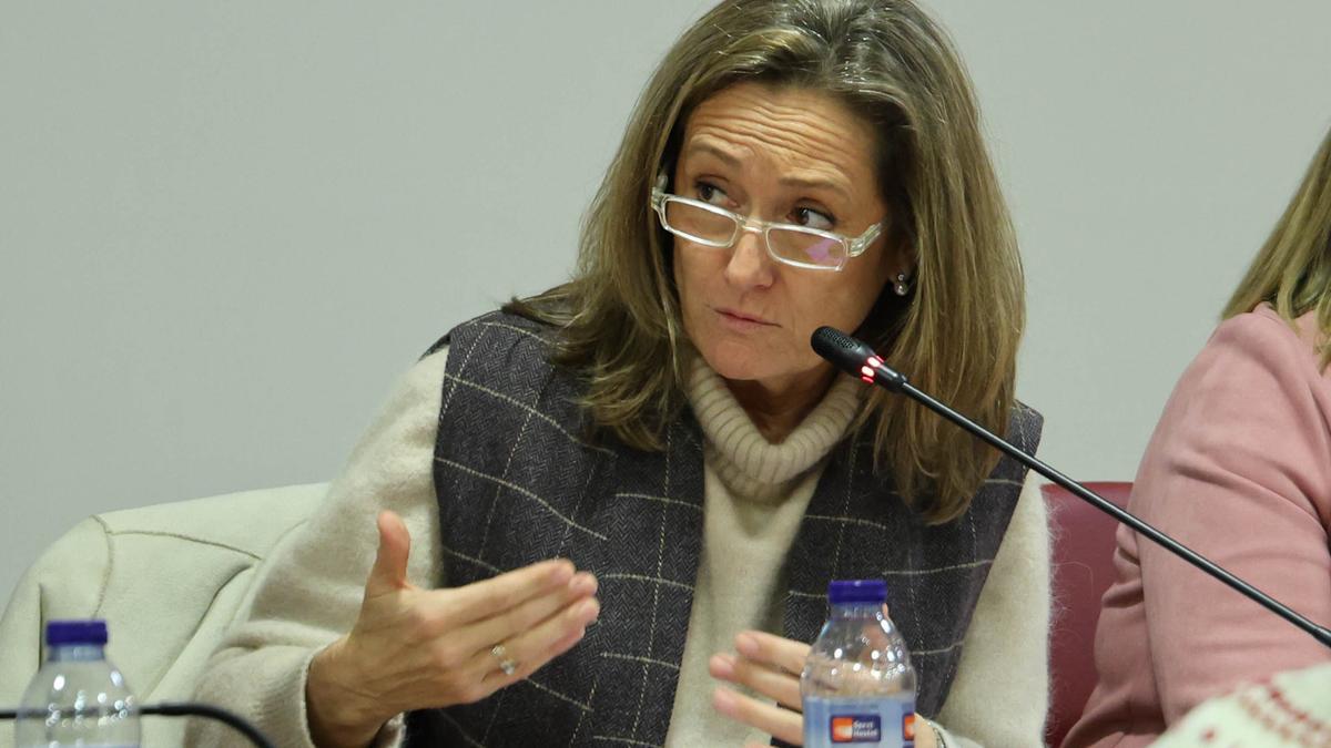 Luisa Sánchez, durante un pleno en el Concello de Vigo.