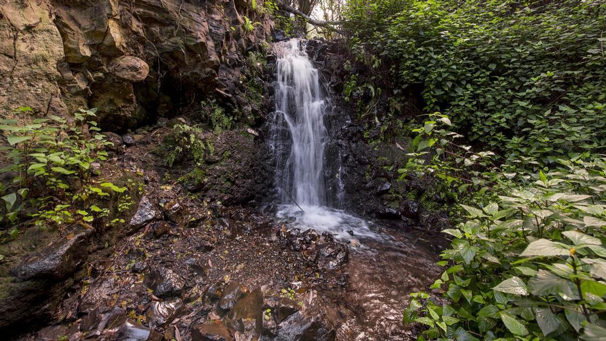 Barranco de Los Cernícalos, Gran Canaria