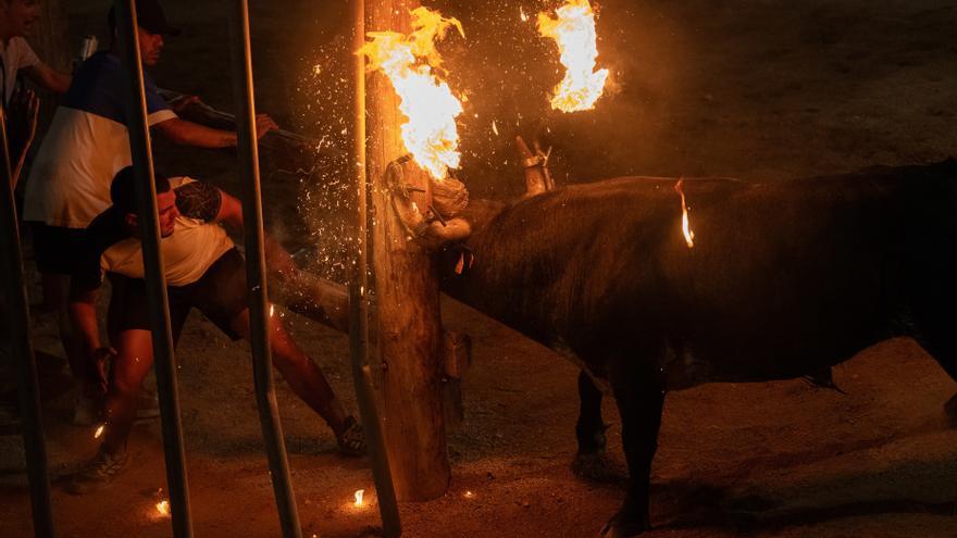 Castellón es la provincia de España que más dinero público dedica a los toros