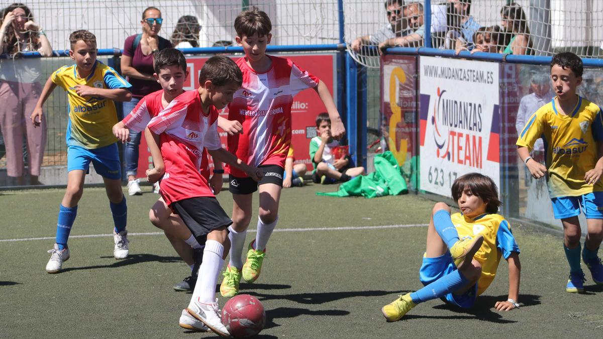 La Copa de Escuelas Católicas en imágenes