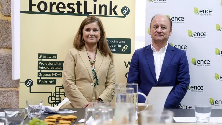 Galicia busca liderar la innovación forestal con un foro pionero en Pontevedra