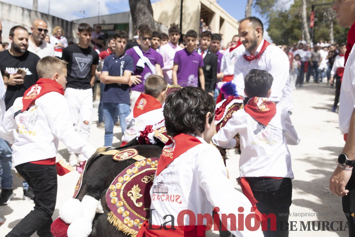 Fiestas de Caravaca | Desfile infantil del Bando de los Caballos del Vino