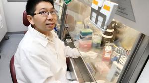 Yuanwei Yan, uno de los protagonistas de este desarrollo, en el laboratorio Zhang de la Universidad de Washington-Madison.