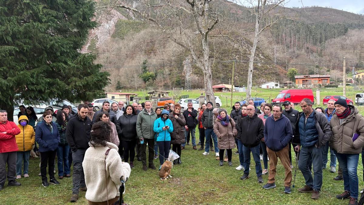 Vecinos de Parres manifestándose contra el parque de baterías prpevisto en el concejo.