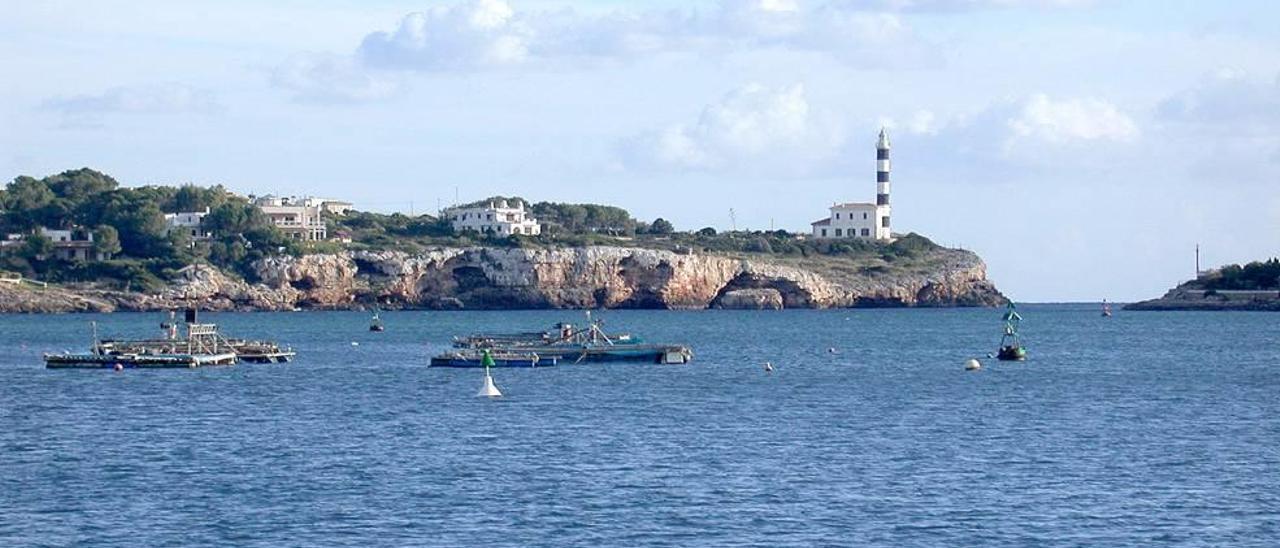 Imagen del puerto de Portocolom hace una década, con varias plataformas de engorde.