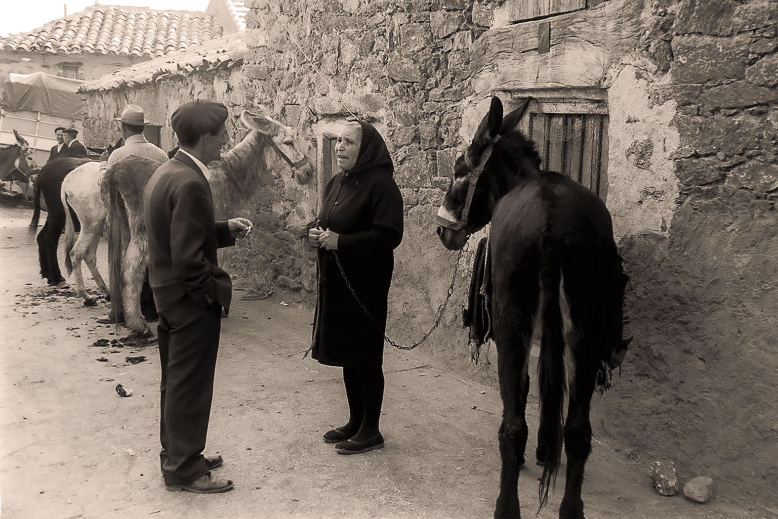 Feria de la Carballeda, Rionegro del Puente (Zamora). 1978._2.jpg