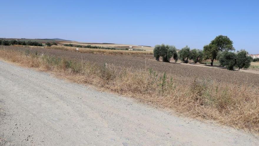 Más de 2 millones de euros para mejorar los caminos de la concentración de Arroyo del Campo