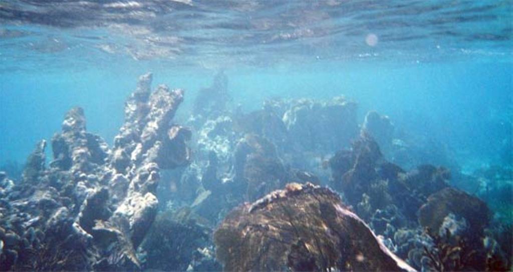 Europa no necesita visado para las Bahamas, Seychelles e Isla Mauricio