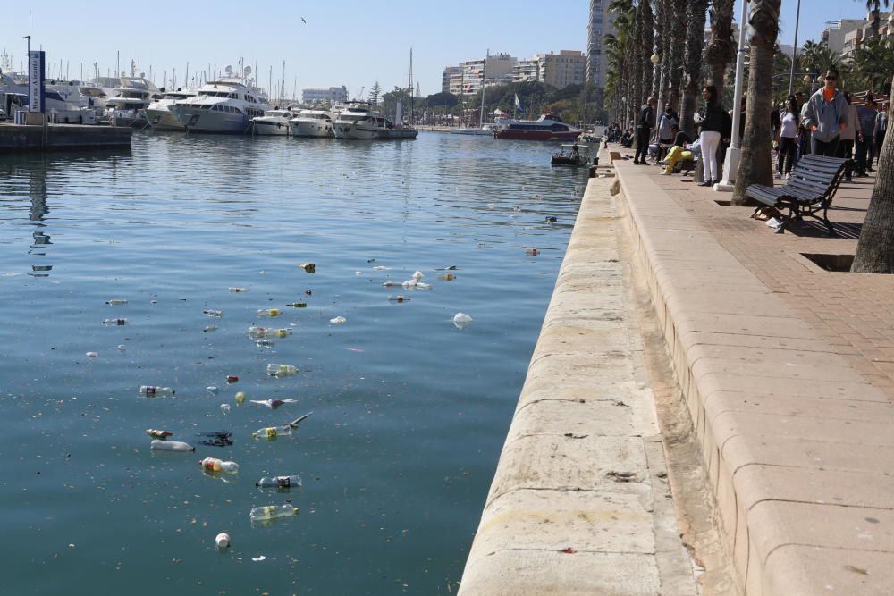 Alicante amanece disfrazada de basura