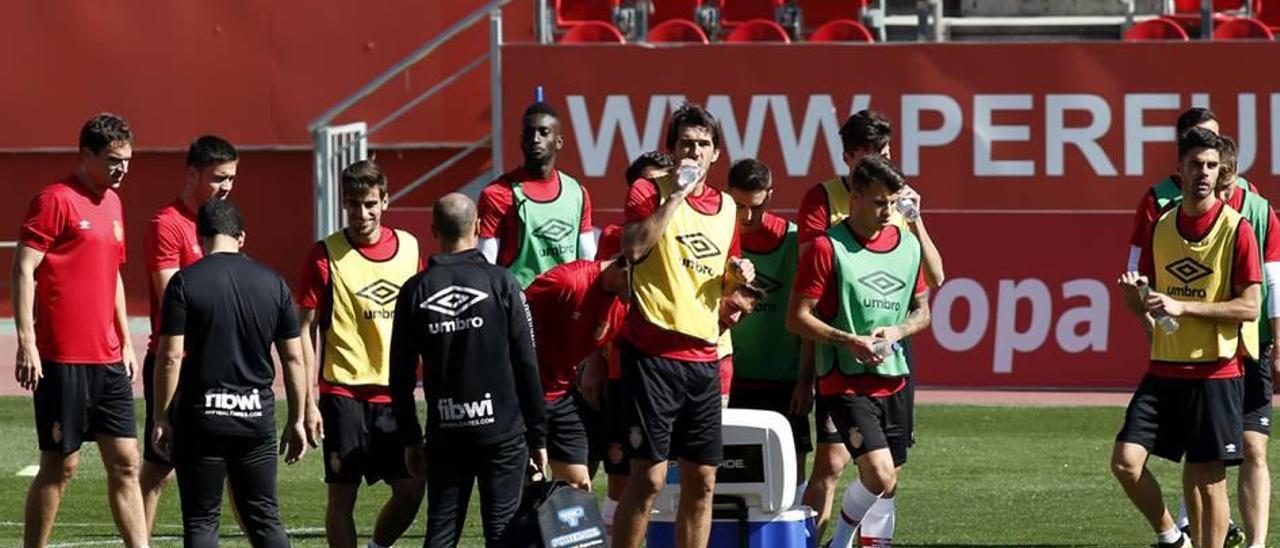 Varios futbolistas del Real Mallorca, en el entrenamiento del viernes en Son Moix.
