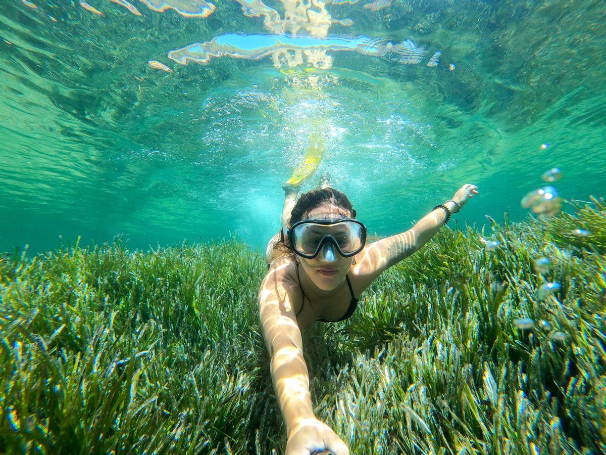La pradera de posidonia oceánica rodea la isla de Ibiza