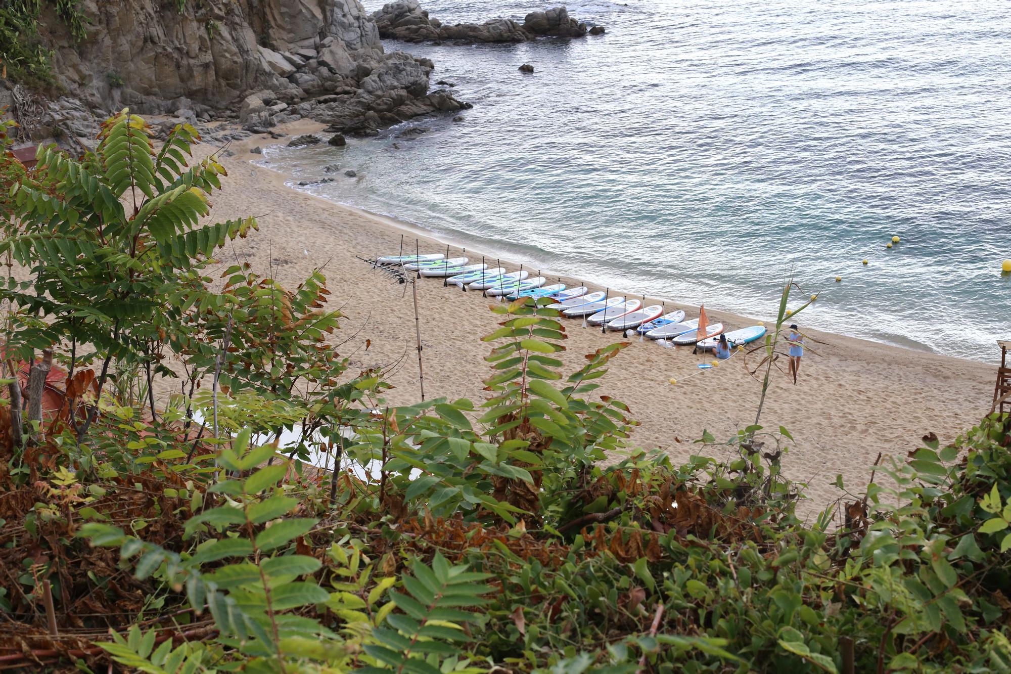 Recullen 183 quilos de deixalles al litoral de Calella i Llafranc