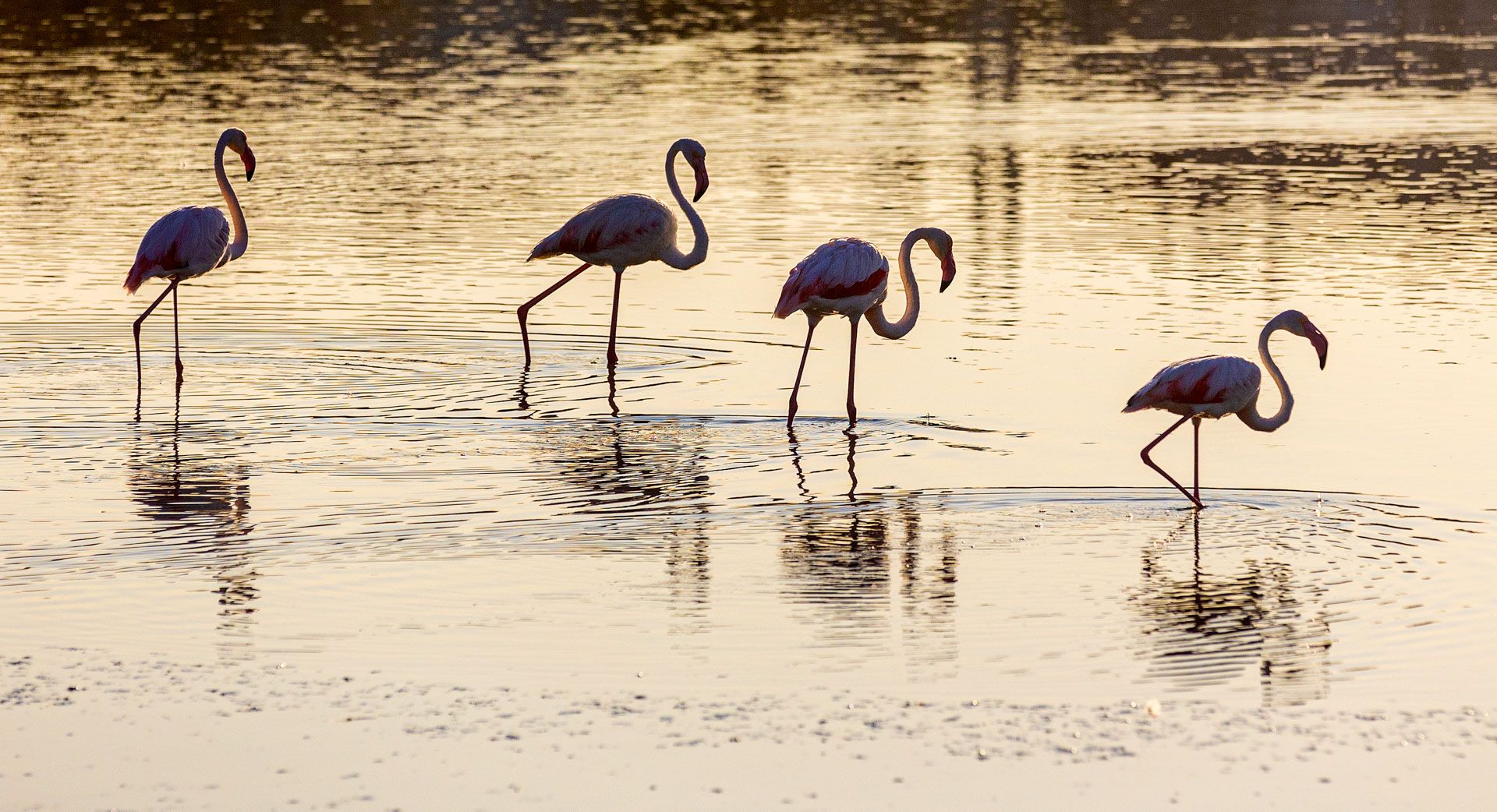 Un parque natural muy vivo