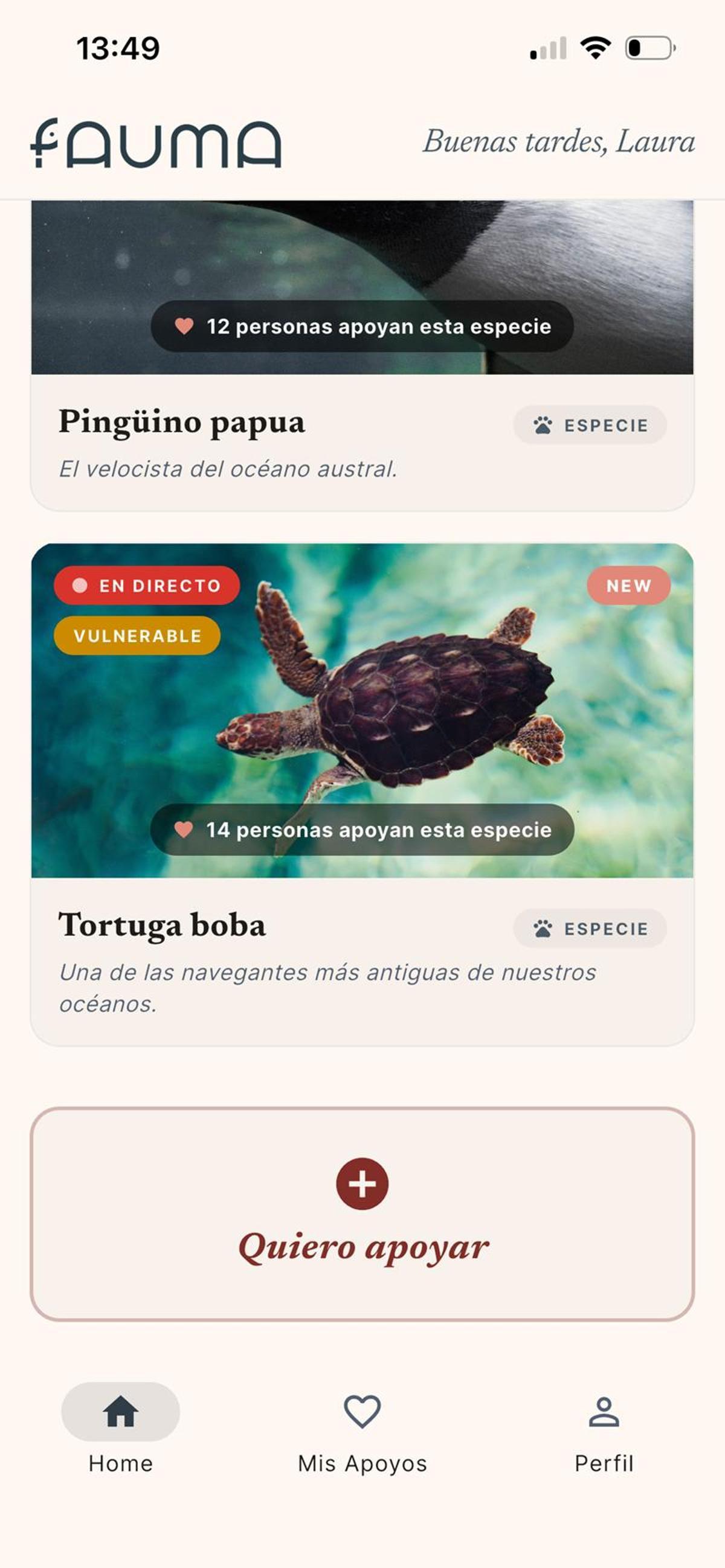 Detalle de la nueva 'app'.