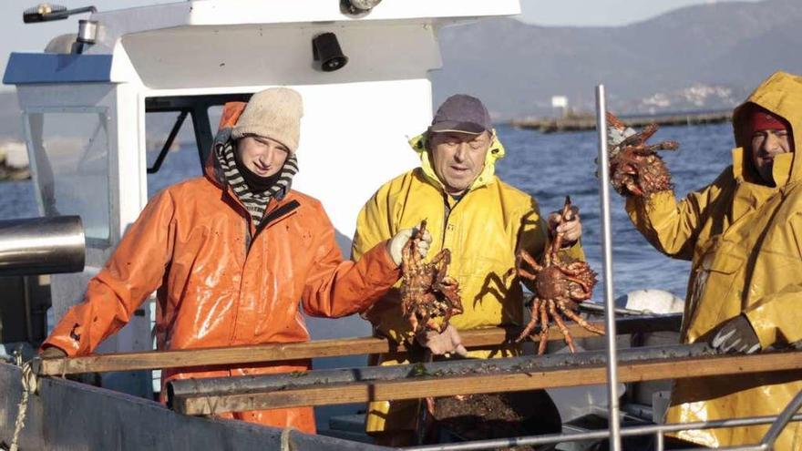 Pescadores de centollo del puerto de O Grove en plena faena. // Muñiz