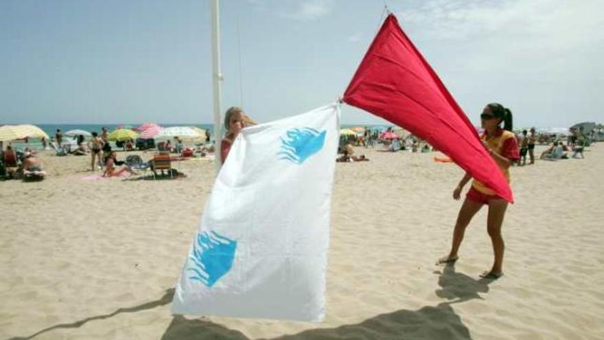 Los socorristas izan la bandera contra las medusas en la playa del Carabassí.