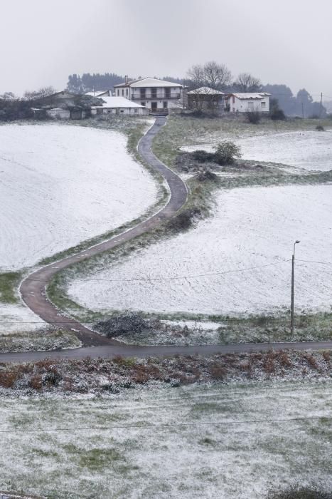 La nevada en la comarca de Avilés