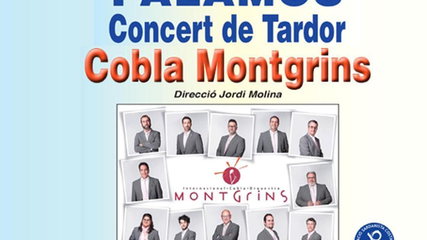 Concert de tardor amb la Cobla Montgrins