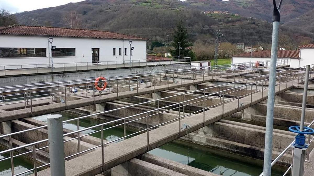 La planta potabilizadora de agua en Entralgo.