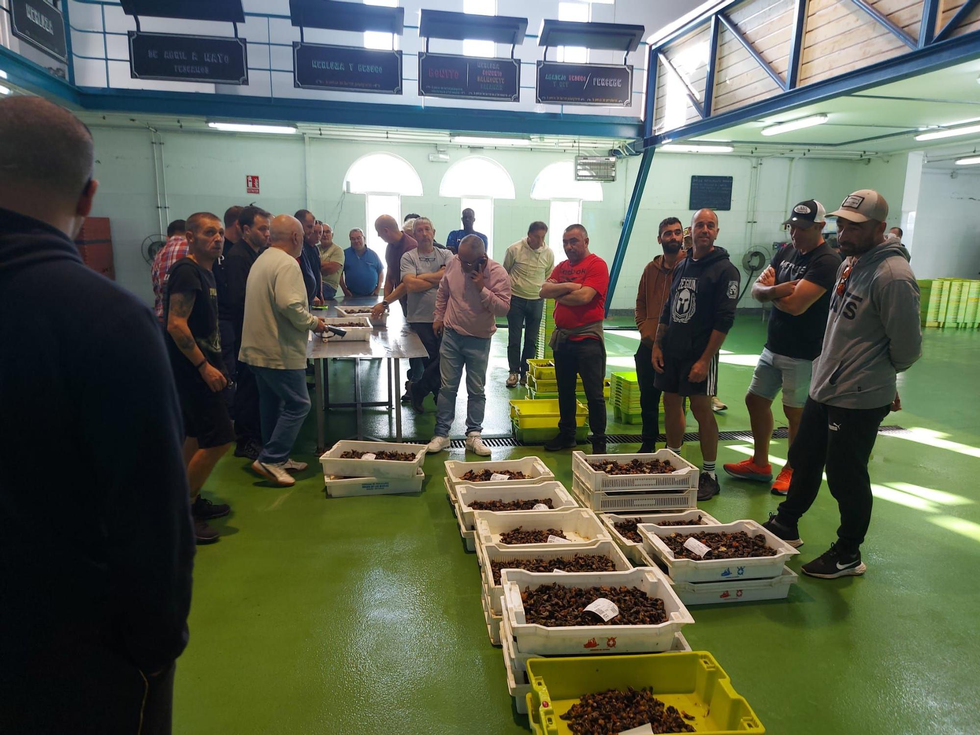 En imágenes: La primera subasta de percebe de la temporada en la rula de Puerto de Vega