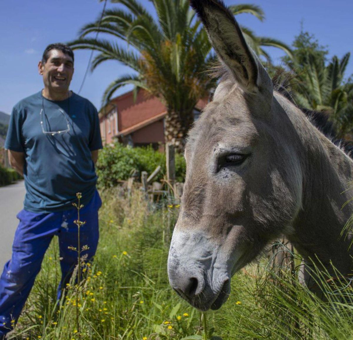 Cuando la belleza de lo rural se esconde tras un polígono