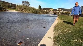El fiscal reclama prisión para directivos de una empresa y una multa de 2,2 millones por el "grave desastre ecológico" del Besòs
