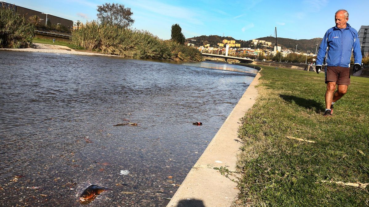 El fiscal reclama prisión para tres directivos de una empresa de Montornès por el "grave desastre ecológico" del Besòs