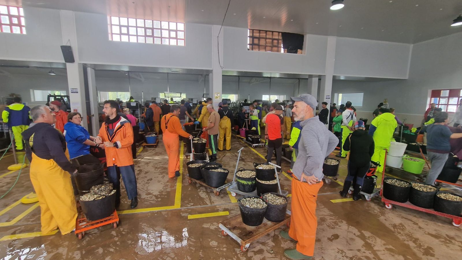 Así es el día a día en el puerto y la lonja de O Testal (Noia), donde cada vez se dan cita más mariscadores arousanos.