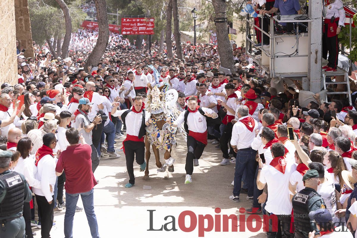 Así se ha vivido la carrera de Los Caballos del Vino en Caravaca