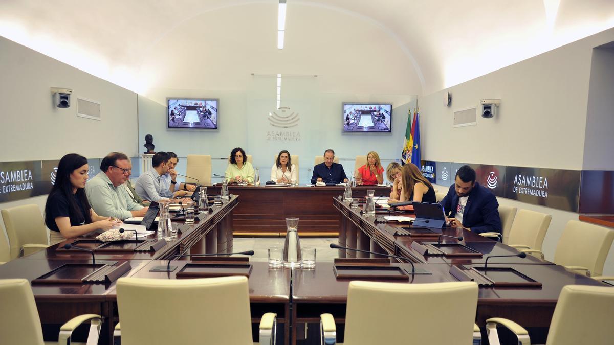 Comisión de Administración Pública y Diálogo Social reunida este martes en la Asamblea de Extremadura.