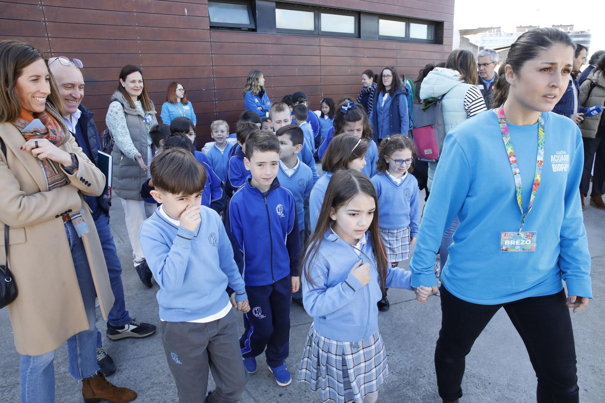 En imágenes: El Acuario de Gijón estrena su nuevo centro de apoyo a la red de varamientos del Principado