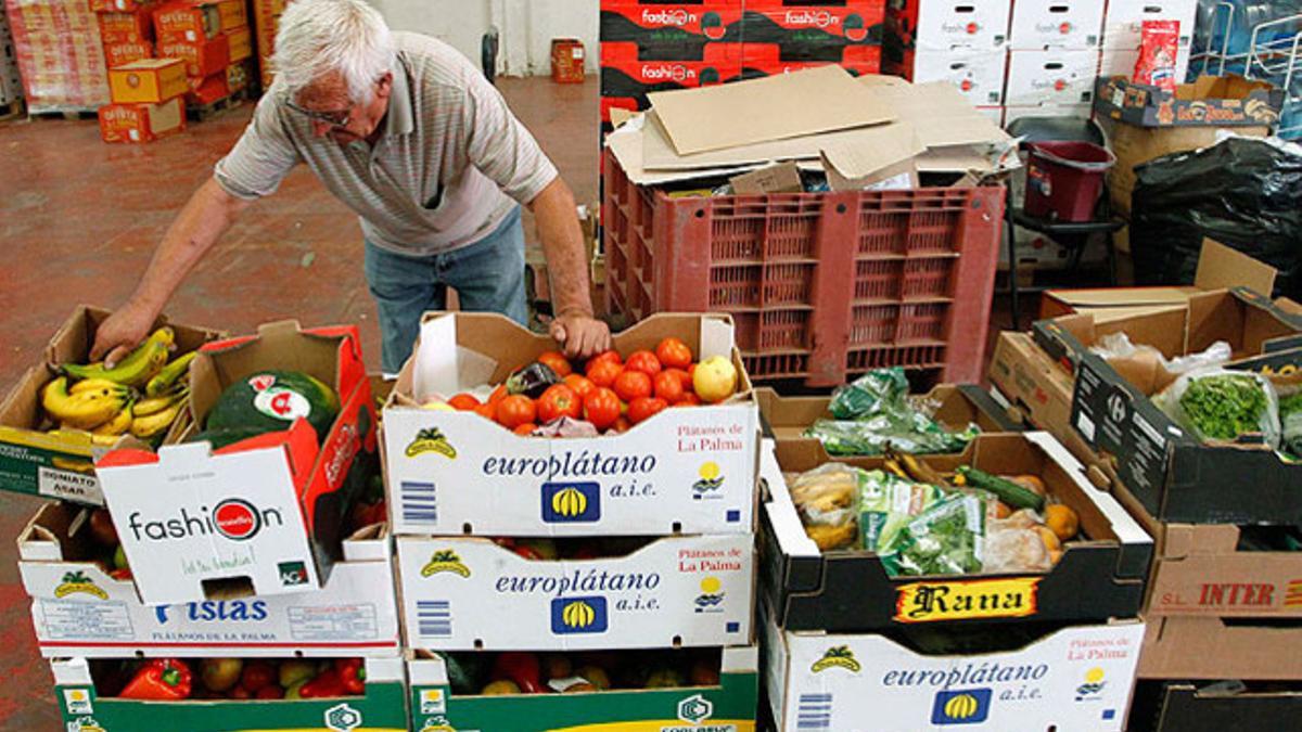 Un voluntario de la oenegé 'Banco de los Alimentos', que tiene previsto distribuir 5 millones de kilogramos de alimentos en 2012, en la Pobla de Vallbona (Valencia).