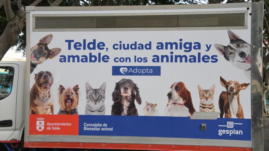 Telde presenta una página web para fomentar la adopción responsable