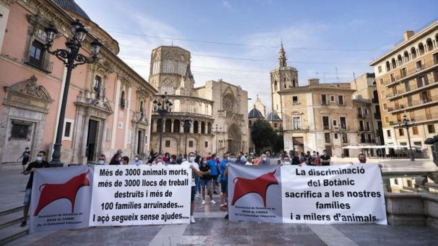 Los ganaderos de Bous al Carrer se concentran en València para pedir ayudas